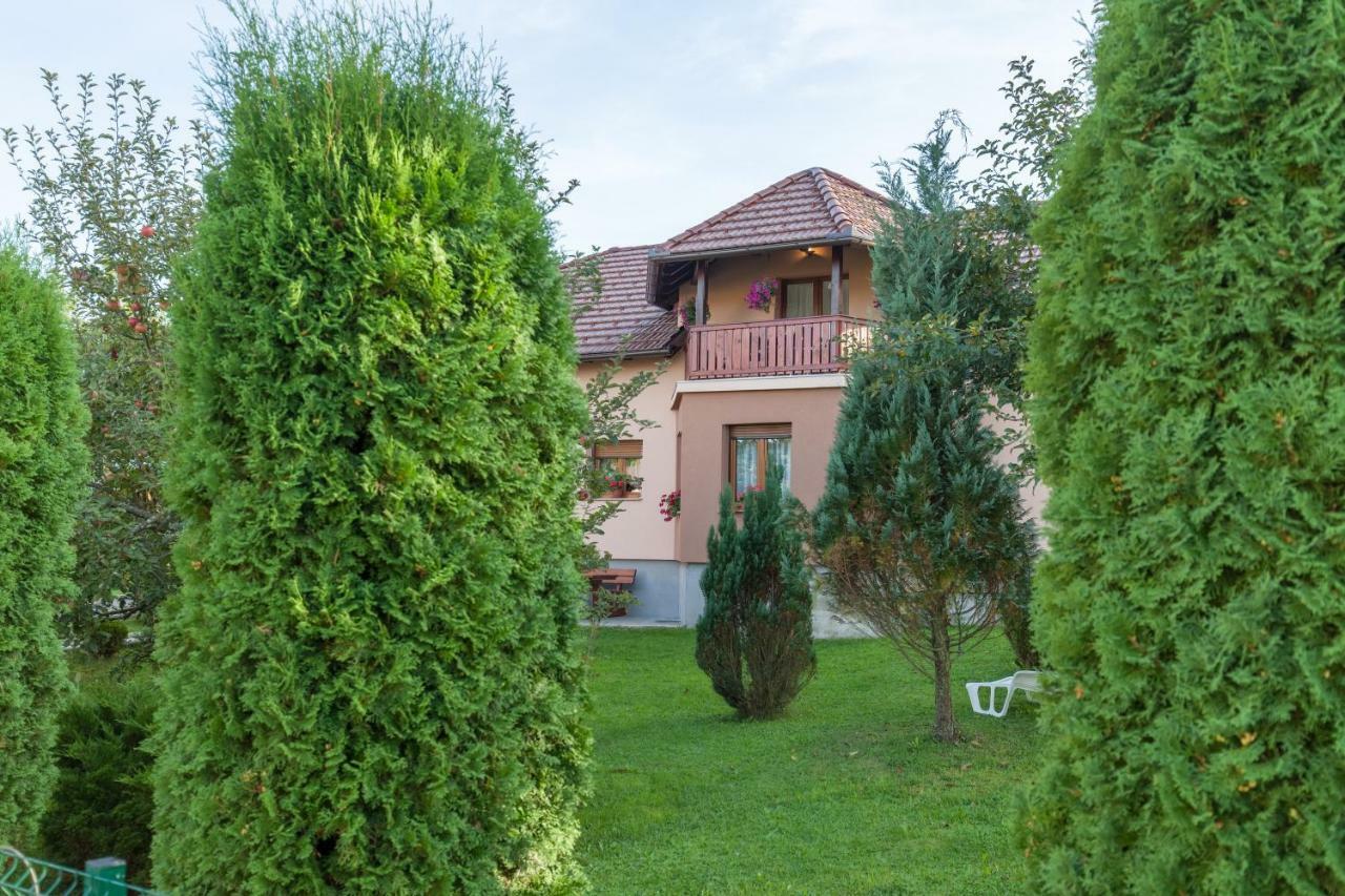 Apartment Ivan & Iva Gornji Vaganac Exterior photo